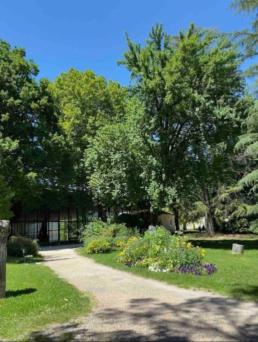 Appartement Familial Proche D'Un Site Historique Périgueux Buitenkant foto